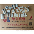 High-grade customized arc motor magnets